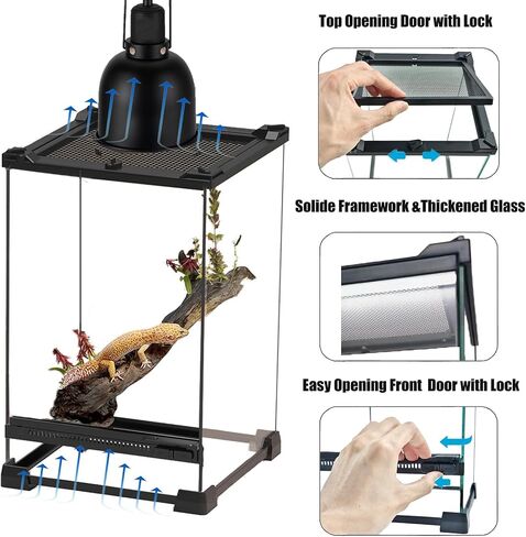 Reptile Glass Terrarium Tank 8"x8"x12", Front & Top Opening Door Full View Visually Appealing Mini Reptile or Amphibians Habitat, Stackable Vertical Enclousure for Small Reptiles in Saudi Arabia