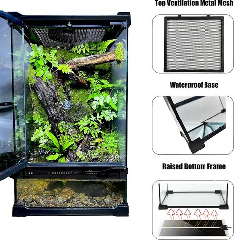 Reptile Glass Terrarium Tank 8"x8"x12", Front & Top Opening Door Full View Visually Appealing Mini Reptile or Amphibians Habitat, Stackable Vertical Enclousure for Small Reptiles in Saudi Arabia