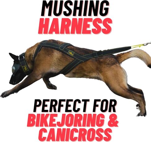 Mushing Harness for Dogs Great Dog Sports as Bike Urban canicross Pulling bikejoring Biking Skiing Resistance Sporting (Yellow, Large) in Saudi Arabia