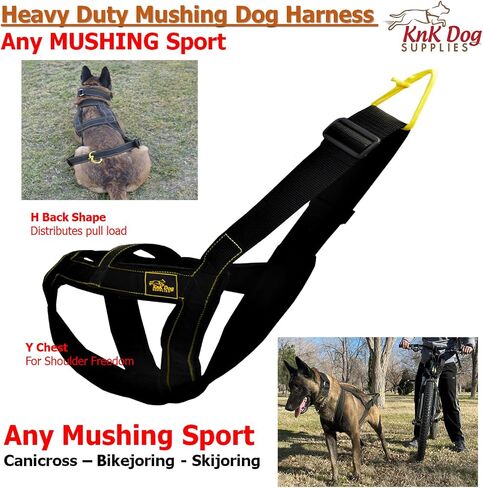 Mushing Harness for Dogs Great Dog Sports as Bike Urban canicross Pulling bikejoring Biking Skiing Resistance Sporting (Yellow, Large) in Saudi Arabia