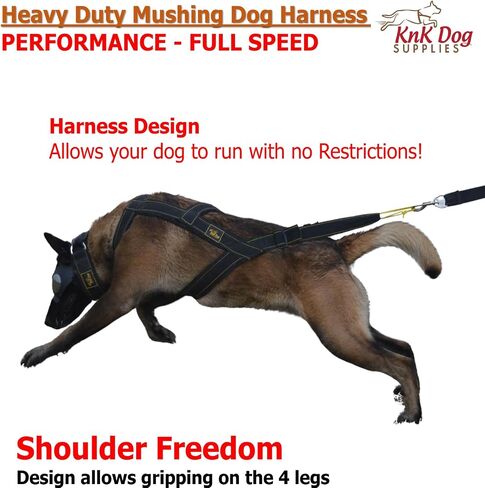 Mushing Harness for Dogs Great Dog Sports as Bike Urban canicross Pulling bikejoring Biking Skiing Resistance Sporting (Yellow, Large) in Saudi Arabia