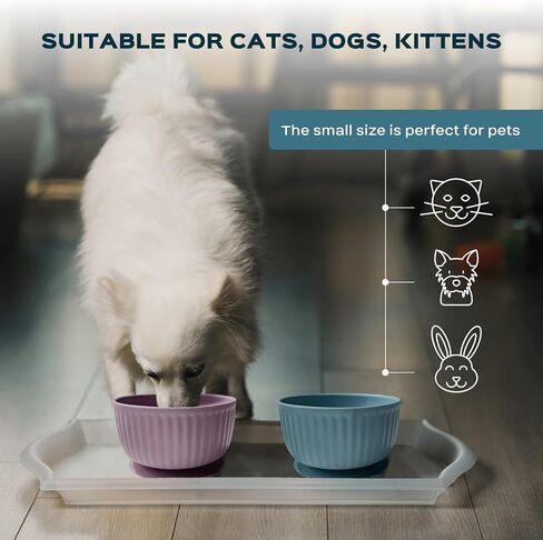 Cat Bowls with Suction Cup 13 Oz — Elevated Silicone Pet Dish with Non-Slip Bottom for Dry Food, Wet Food and Water (Salad) in Saudi Arabia