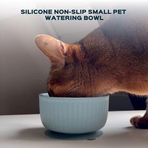 Cat Bowls with Suction Cup 13 Oz — Elevated Silicone Pet Dish with Non-Slip Bottom for Dry Food, Wet Food and Water (Salad) in Saudi Arabia