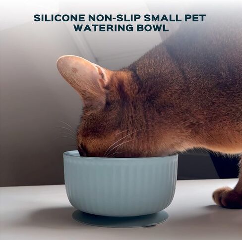 Cat Bowls with Suction Cup 13 Oz — Elevated Silicone Pet Dish with Non-Slip Bottom for Dry Food, Wet Food and Water (Salad) in Saudi Arabia