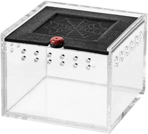 Tarantula Terrarium, Jumping Spider Enclosure, Clear Tarantula Feeding Box, Small Pet Insect Breeding Box for Spider Tarantula Insect - B in Saudi Arabia