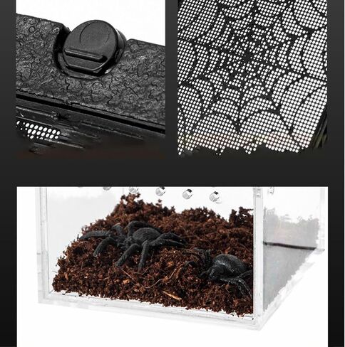 Tarantula Terrarium, Jumping Spider Enclosure, Clear Tarantula Feeding Box, Small Pet Insect Breeding Box for Spider Tarantula Insect - B in Saudi Arabia