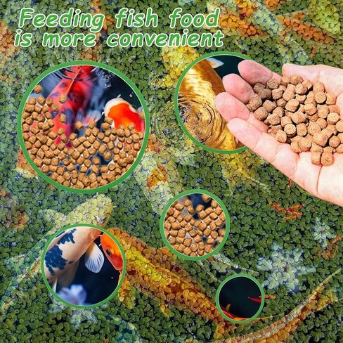 5Pcs Fish Feeding Ring, Round Aquarium Floating Plant Corral Feeding Ring for Fish Tank for Intercepting Live Floating Aquarium Plants in Place and Make Cleaner Aquarium Tank（Green） in Kuwait