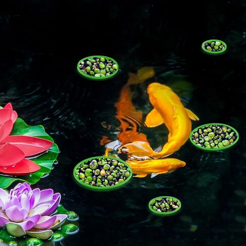 5Pcs Fish Feeding Ring, Round Aquarium Floating Plant Corral Feeding Ring for Fish Tank for Intercepting Live Floating Aquarium Plants in Place and Make Cleaner Aquarium Tank（Green） in Kuwait