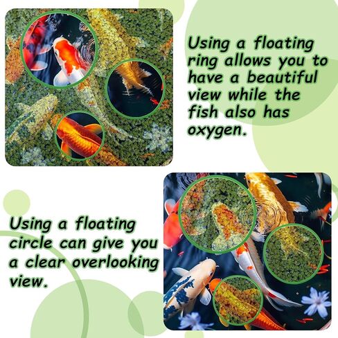 5Pcs Fish Feeding Ring, Round Aquarium Floating Plant Corral Feeding Ring for Fish Tank for Intercepting Live Floating Aquarium Plants in Place and Make Cleaner Aquarium Tank（Green） in Kuwait