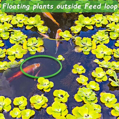 5Pcs Fish Feeding Ring, Round Aquarium Floating Plant Corral Feeding Ring for Fish Tank for Intercepting Live Floating Aquarium Plants in Place and Make Cleaner Aquarium Tank（Green） in Kuwait