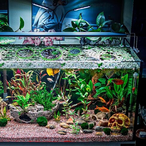 5Pcs Fish Feeding Ring, Round Aquarium Floating Plant Corral Feeding Ring for Fish Tank for Intercepting Live Floating Aquarium Plants in Place and Make Cleaner Aquarium Tank（Green） in Kuwait