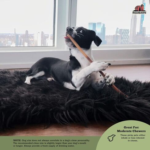 ريد بارن 7 بوصات بولي 6 قطع (عدد 2)2 in Kuwait