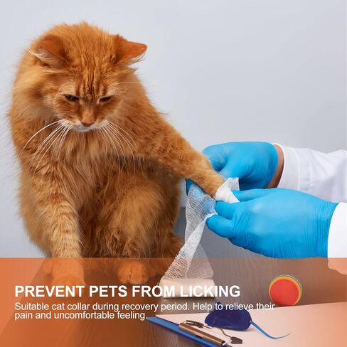 Puppy Collar Cat Recovery Cone Collar Lovely Pom Pom Star Pet Neck Safety Elizabethan for Dog Puppy Surgery (L) Pets in Saudi Arabia