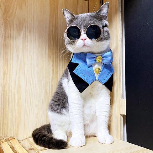 Dog Tuxedo Formal Cat Wedding Bandana Dog Collar with Bow Tie Cat Birthday Costume Dog Wedding Attire Dog Valentines Outfit Pet Gentlemen Sunglasses (blue) in Saudi Arabia