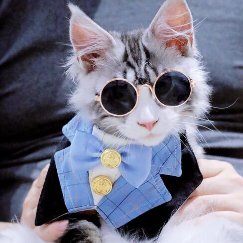 Dog Tuxedo Formal Cat Wedding Bandana Dog Collar with Bow Tie Cat Birthday Costume Dog Wedding Attire Dog Valentines Outfit Pet Gentlemen Sunglasses (blue) in Saudi Arabia