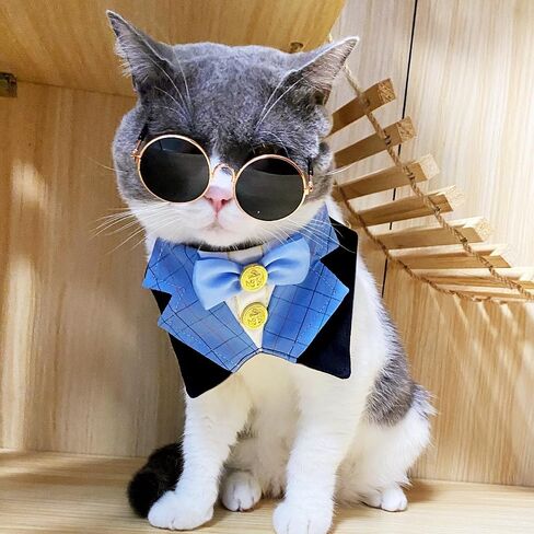 Dog Tuxedo Formal Cat Wedding Bandana Dog Collar with Bow Tie Cat Birthday Costume Dog Wedding Attire Dog Valentines Outfit Pet Gentlemen Sunglasses (blue) in Saudi Arabia