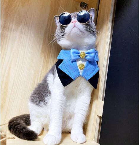 Dog Tuxedo Formal Cat Wedding Bandana Dog Collar with Bow Tie Cat Birthday Costume Dog Wedding Attire Dog Valentines Outfit Pet Gentlemen Sunglasses (blue) in Saudi Arabia