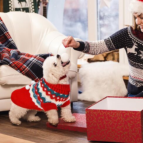2PCS Puppy Christmas Sweater Cat Turtleneck Knitwear Xmas Elf Outfits Dog Warm Clothes Sweater for Kitties Puppies M in Saudi Arabia
