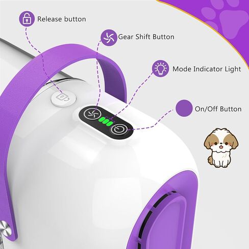 Dog Grooming Kit&Vacuum, 3L Pet Grooming Vacuum 99% Pet Hair Suction, 5 Pet Grooming Tools, 5 Combs, Quiet Pet Vacuum Groomer with Hair Roller, Massage Nozzle for Shedding Dogs, Cats in Saudi Arabia