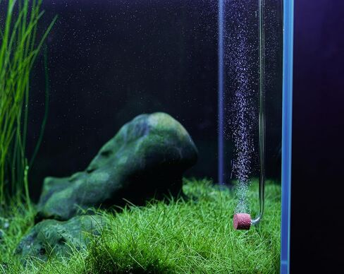 LANDEN AERVITA CO2 Diffuser Kits, Nano-Sized Ceramic diffusing disc Professional Aquarium CO2 High-Efficiency XS Size with Suction Cups and Silicone air Hose for Aquarium Tank Use Under 10gal(40L) in Saudi Arabia