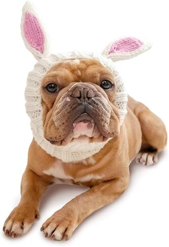 Zoo Snoods Bunny Costume for Dogs, Medium - Warm Ear Wrap Hood for Pets, Dog Bunny Ears for Easter, Soft Yarn Ear Covers for Winters, Halloween Parties & Festivals in Saudi Arabia
