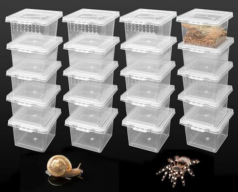 20 قطعة من حاوية حبال الرتيلاء، قفص صغير الحجم للحشرات، حاوية بلاستيكية للتفريخ، صندوق تربية شفاف، حامل صغير للحلزون الصغير المفصلي (2x2x1.77 بوصة) in Kuwait