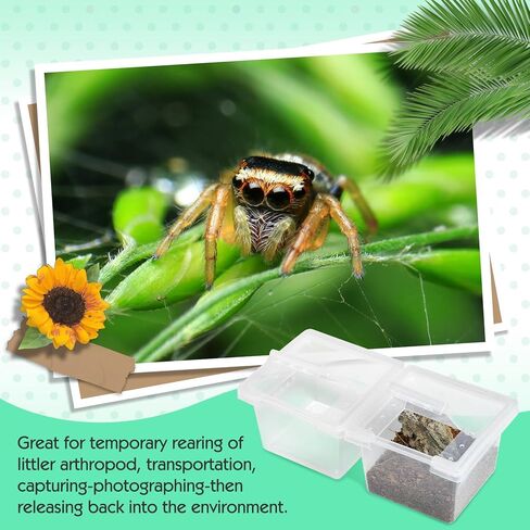 20 قطعة من حاوية حبال الرتيلاء، قفص صغير الحجم للحشرات، حاوية بلاستيكية للتفريخ، صندوق تربية شفاف، حامل صغير للحلزون الصغير المفصلي (2x2x1.77 بوصة) in Kuwait