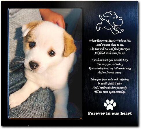 Dog Memorial Gifts for Loss of Dog, Rainbow Bridge Dog Memorial Picture Frame, 4x6 Inches, Personalized Metal (DBRu) in Saudi Arabia