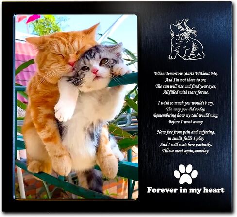 Dog Memorial Gifts for Loss of Dog, Rainbow Bridge Dog Memorial Picture Frame, 4x6 Inches, Personalized Metal (DBRu) in Saudi Arabia