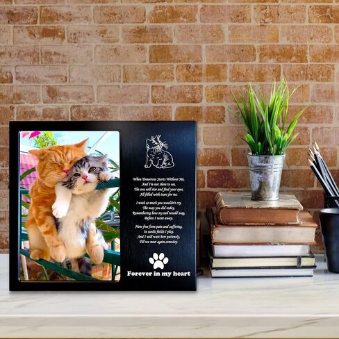 Dog Memorial Gifts for Loss of Dog, Rainbow Bridge Dog Memorial Picture Frame, 4x6 Inches, Personalized Metal (DBRu) in Saudi Arabia
