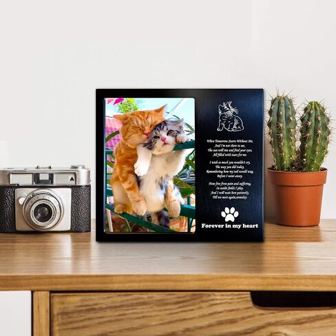 Dog Memorial Gifts for Loss of Dog, Rainbow Bridge Dog Memorial Picture Frame, 4x6 Inches, Personalized Metal (DBRu) in Saudi Arabia