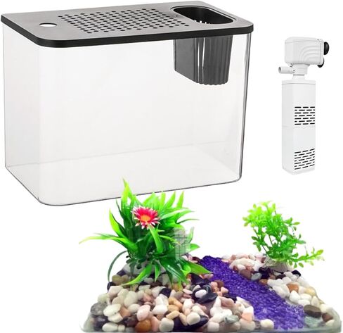 عدة حوض السمك الصغيرة، 3 جالون بيتا خزان الأسماك مجموعات بداية خزان الأسماك - مضخة المياه، والأعشاب الزخرفية، والأحجار ديكور سطح المكتب لديكور غرفة المنزل والمكتب in Kuwait