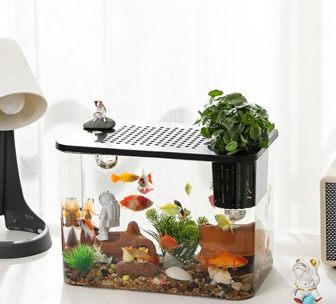 عدة حوض السمك الصغيرة، 3 جالون بيتا خزان الأسماك مجموعات بداية خزان الأسماك - مضخة المياه، والأعشاب الزخرفية، والأحجار ديكور سطح المكتب لديكور غرفة المنزل والمكتب in Kuwait