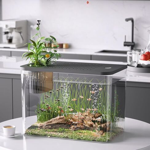 عدة حوض السمك الصغيرة، 3 جالون بيتا خزان الأسماك مجموعات بداية خزان الأسماك - مضخة المياه، والأعشاب الزخرفية، والأحجار ديكور سطح المكتب لديكور غرفة المنزل والمكتب in Kuwait