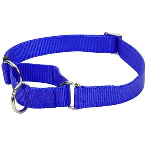 Coastal Pet - No Slip - Martingale Adjustable Dog Collar, Blue, 5/8" x 10"-14"