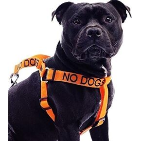 No Dogs Orange Color Coded Alert L-XL Non pull Dog Harness (Not Good With Other Dogs) Prevents Accidents By Warning Others of Your Dog in Advance