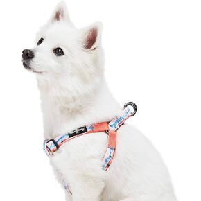 Blueberry Pet Step-in Southwestern Tribal Diamonds Dog Harness, Chest Girth 16.5" - 21.5", Small, Adjustable Harnesses for Dogs