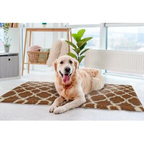 Van Ness Pets Vetbed Dog Bed, Crate Mat, Cat Pad, Non-Slip, Machine Washable, Self Warming, 39.5" x 29.5"
