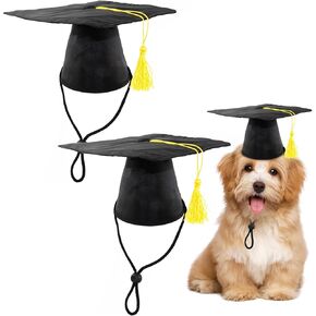قطعتان من قبعة التخرج للحيوانات الأليفة للكلاب والقطط، قبعة تخرج للكلاب والقطط، أزياء حفلات أعياد الحيوانات الأليفة، زي إكسسوار لصور الحيوانات الأليفة، قبعة للحيوانات الأليفة مع شرابة صفراء in Kuwait
