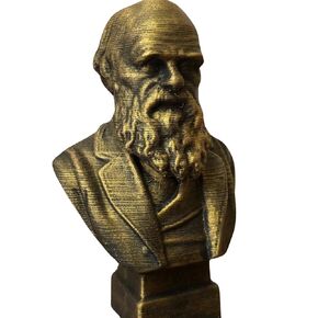 Charles Darwin Famous English Naturalist, Geologist, and Biologist 4 inch Bust