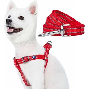 Blueberry Pet Essentials عاكس العودة إلى الأساسيات مطابقة مجموعة تسخير ومقود الكلب، أخضر نعناعي، حزام قابل للتعديل مع مقود بطول 5 أقدام للكلاب الصغيرة
