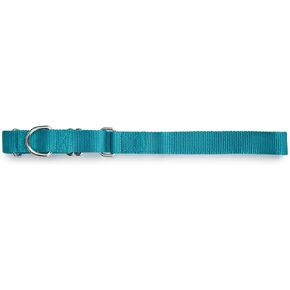 Guardian Gear Nylon Martingale Dog Collar, Fits Necks 10" to 16", Bluebird