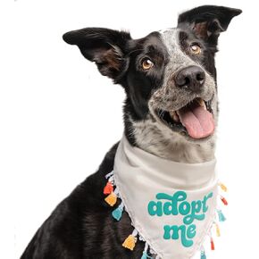 Adopt Me Dog Bandana with Multi-Colored Fringe (White, Trim4 Puff 10)