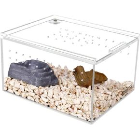 Acrylic Reptiles Enclosure - Terrarium Breeding Box for Small Ground Dwelling Reptiles, Amphibians, Spiders, Cricket, Tarantula & Other Invertebrates (8X6X4)