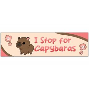 Capybara Bumper Sticker, Funny Capybara Sticker, Stickers For Car, Bumper Stickers, Waterproof Stickers, Stickers [00244] in Saudi Arabia