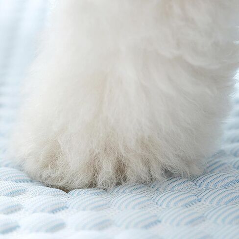 بساط تبريد للكلاب، سرير تبريد غير قابل للانزلاق وقابل للغسل، وسادة وسادة للكلاب مع وسادة مناسبة للكلاب الصغيرة والمتوسطة الحجم، للاستخدام الداخلي والخارجي in Kuwait