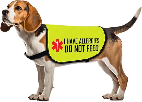 Allergies Warning Dog Jacket Vest I Have Allergies Do Not Feed Dog Harness Special Diet Alleric Dog Gift (DO NOT FEED-Large) in Saudi Arabia