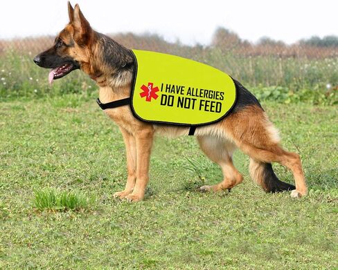 Allergies Warning Dog Jacket Vest I Have Allergies Do Not Feed Dog Harness Special Diet Alleric Dog Gift (DO NOT FEED-Large) in Saudi Arabia