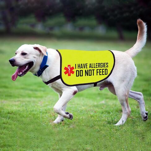 Allergies Warning Dog Jacket Vest I Have Allergies Do Not Feed Dog Harness Special Diet Alleric Dog Gift (DO NOT FEED-Large) in Saudi Arabia