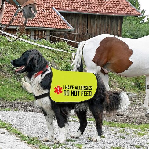 Allergies Warning Dog Jacket Vest I Have Allergies Do Not Feed Dog Harness Special Diet Alleric Dog Gift (DO NOT FEED-Large) in Saudi Arabia